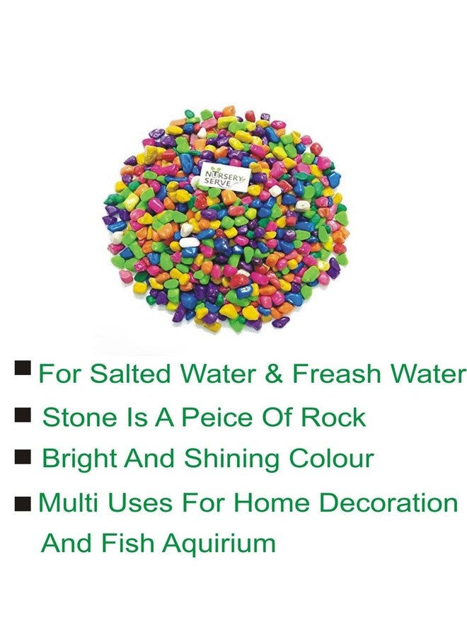 Somil Multicolor Pebbles/Stones for Garden, Plants, Lawns, Aquariums, Fish Pots, Home Decor, Vases, Furniture Filler. Size: 10-30mm, Shiny Multicolor -A641 - Image 2